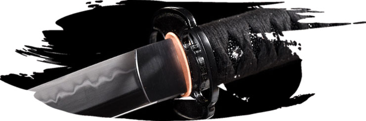 Higo Koshirae Togakure &ndash; elegancia ninja tradicional